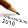 Disposizioni per  elettori affetti da patologie gravi (Referendum popolare  del  4 dicembre 2016).